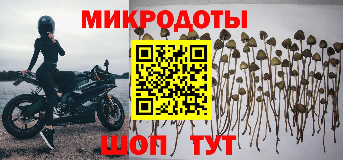 Апатиты  Галлюциногенные грибы ЛСД  закладка  Галлюциногенные грибы мицелий  Вход с VPN 