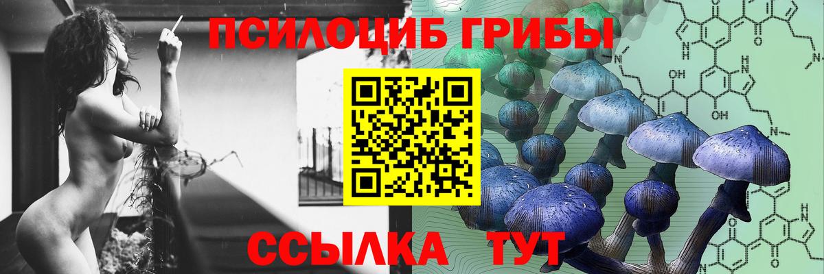 Псилоцибиновые грибы Psilocybine cubensis Апатиты