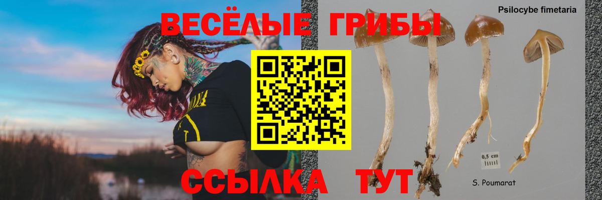  Cocaine Апатиты