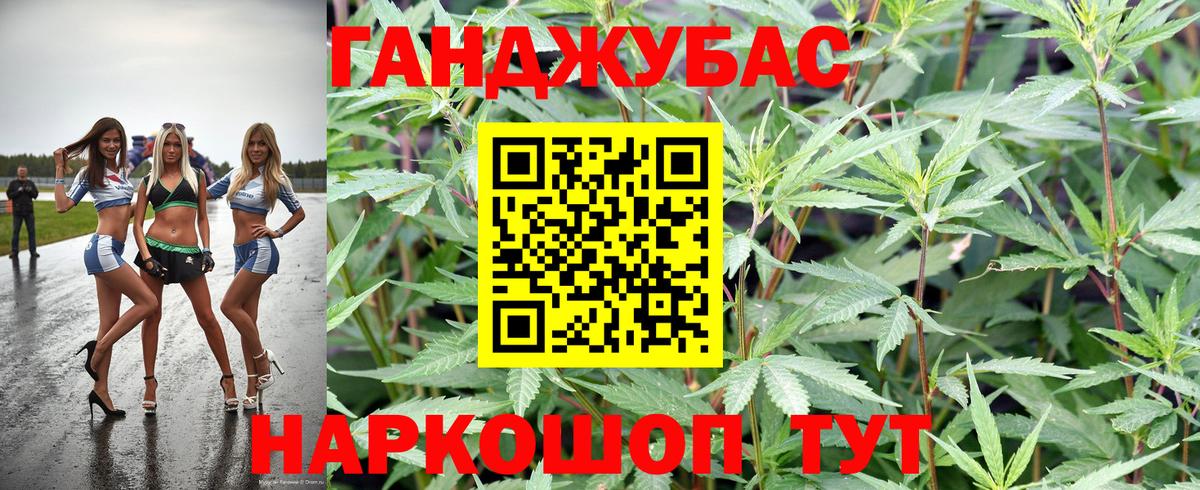 Конопля гибрид Апатиты